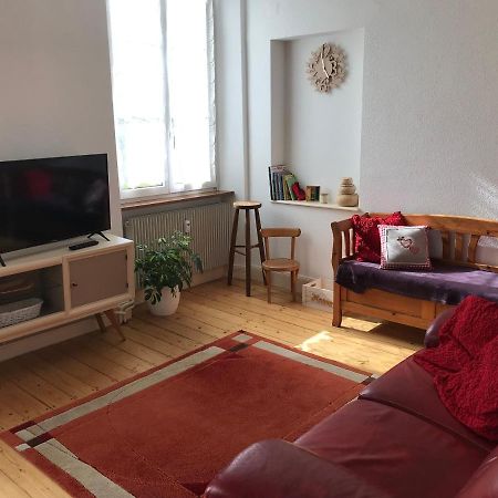 Le Clos Des Iris - Gite Rural 95 M2 Tout Confort En Alsace Bossue Domfessel Esterno foto
